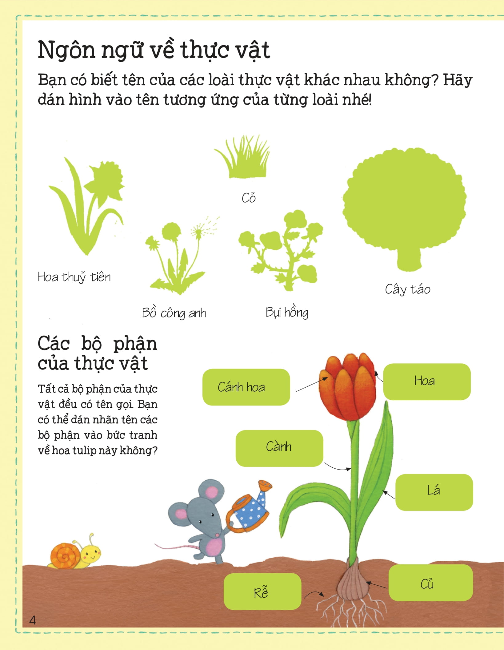 thế giới trong tay em - sự sinh trưởng của vạn vật - Ảnh 5