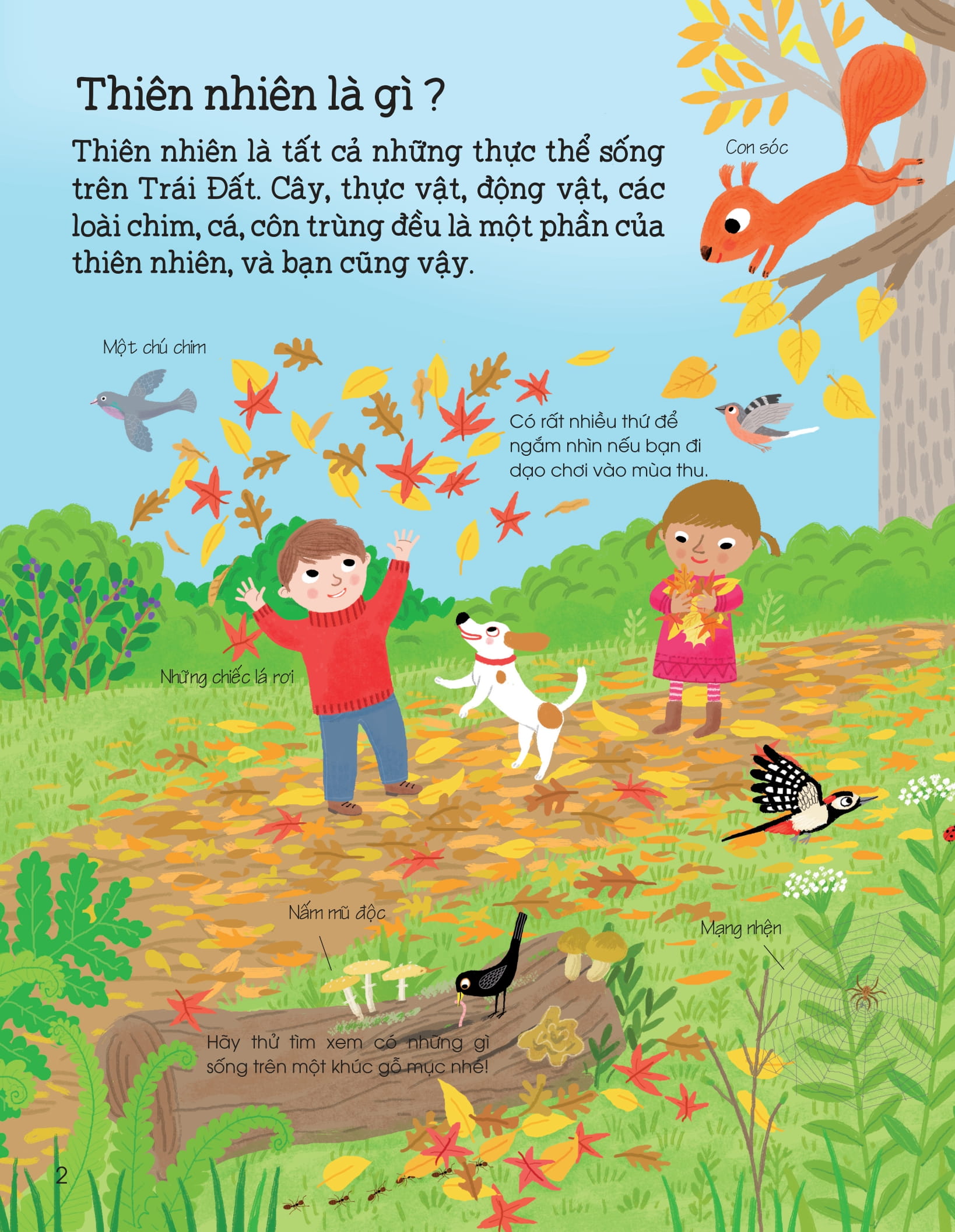 thế giới trong tay em - thiên nhiên diệu kỳ - Ảnh 3
