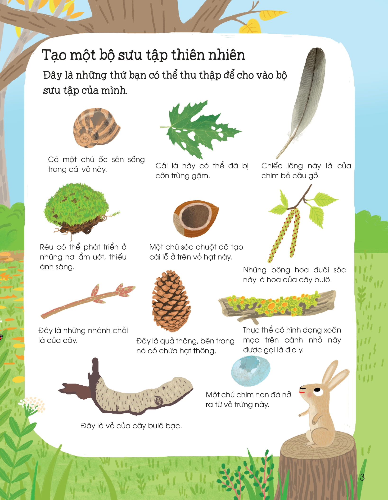 thế giới trong tay em - thiên nhiên diệu kỳ - Ảnh 4