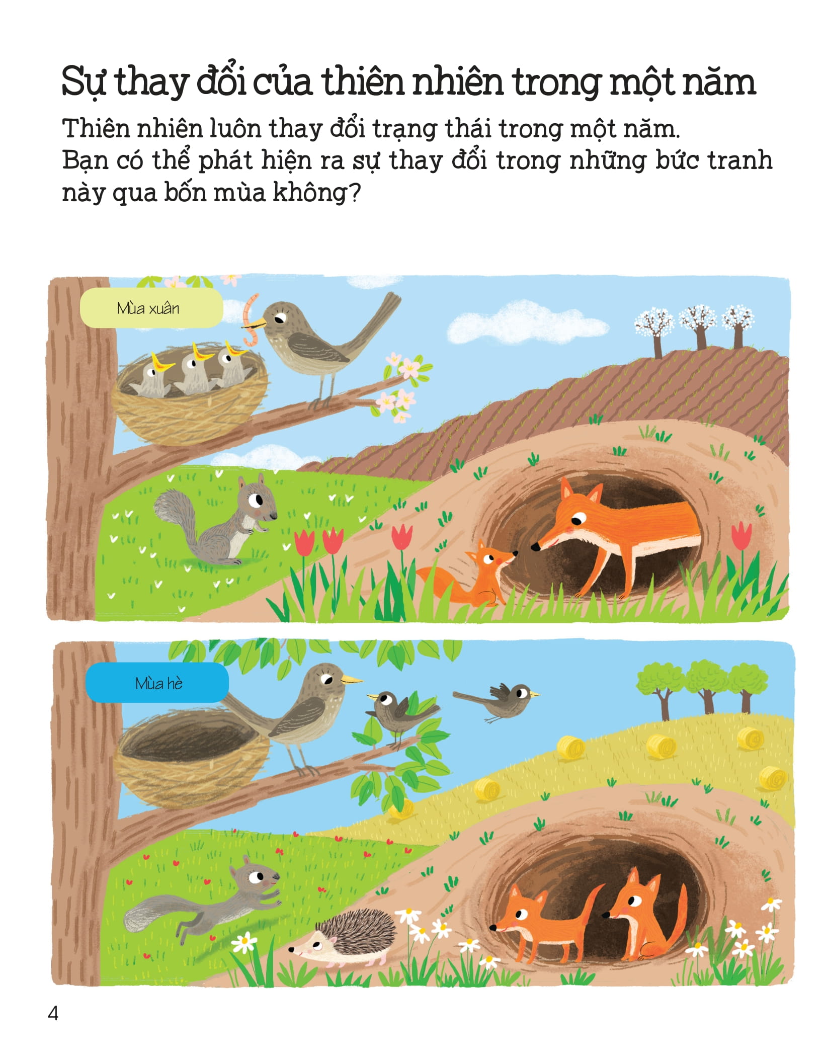 thế giới trong tay em - thiên nhiên diệu kỳ - Ảnh 5