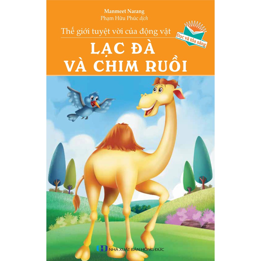 thế giới tuyệt vời của động vật - lạc đà và chim ruồi - Ảnh 2