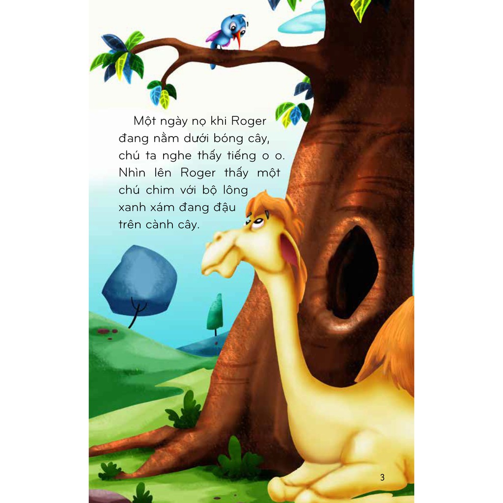 thế giới tuyệt vời của động vật - lạc đà và chim ruồi - Ảnh 5