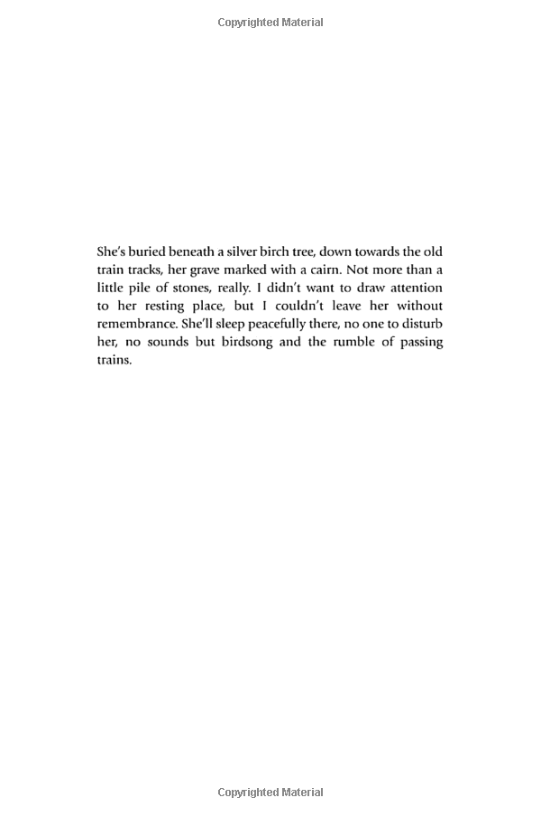 the girl on the train (film tie-in) - Ảnh 4