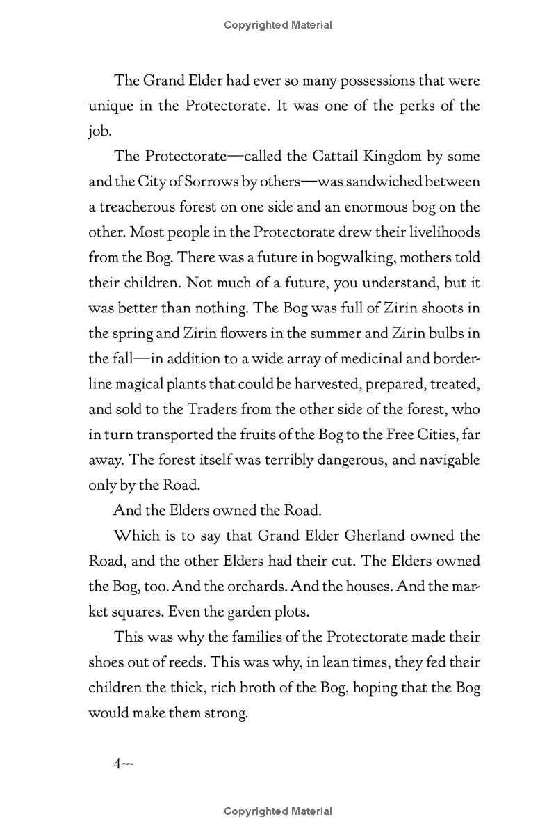 the girl who drank the moon - Ảnh 10