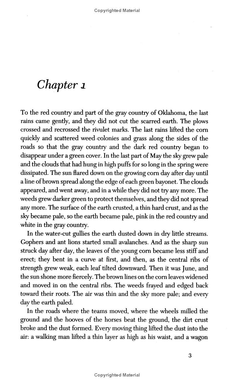 the grapes of wrath - Ảnh 3