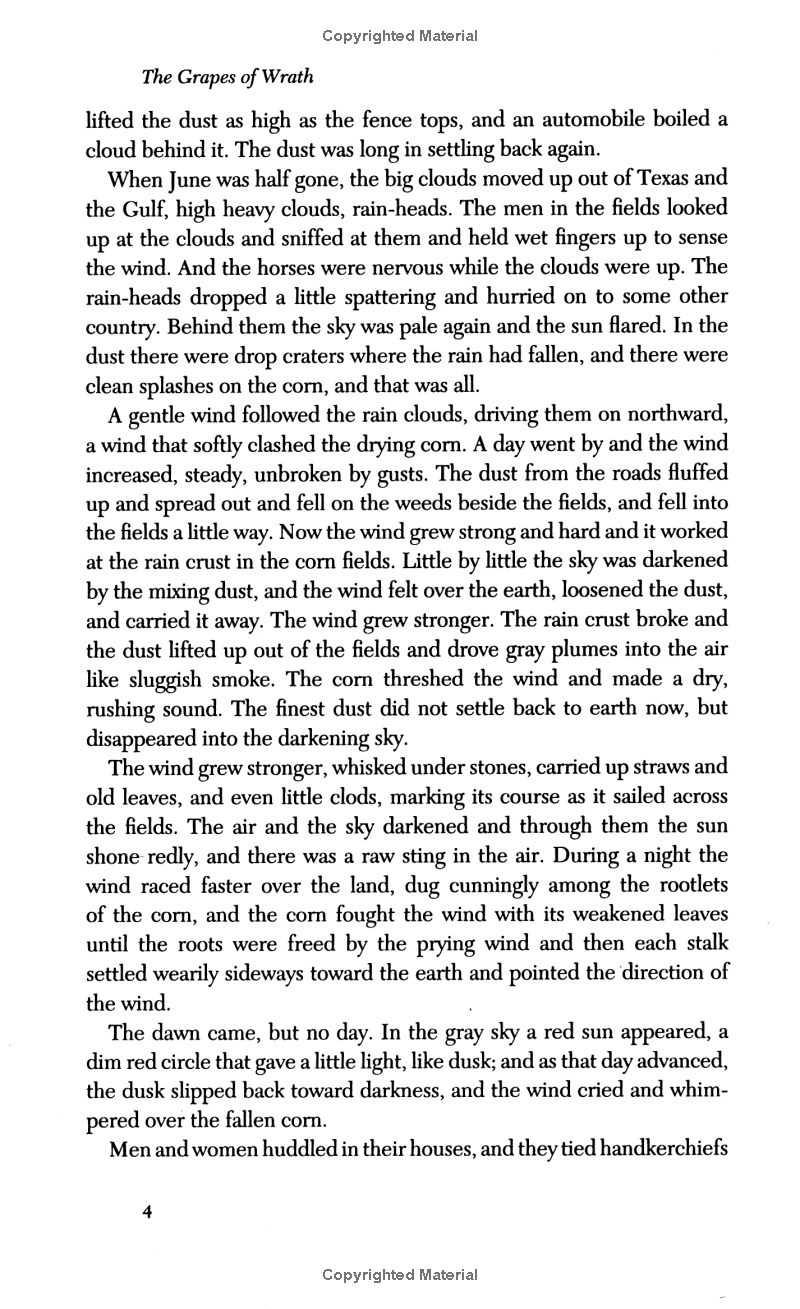 the grapes of wrath - Ảnh 4