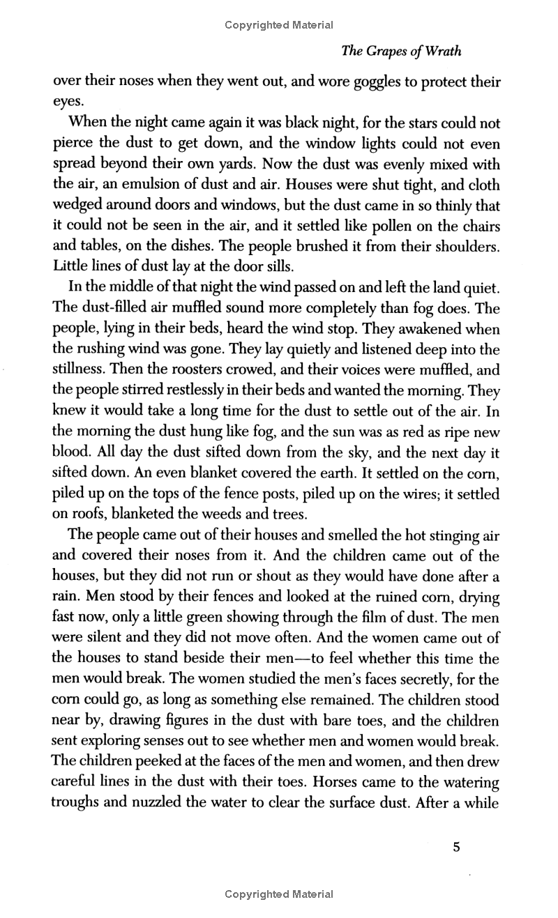 the grapes of wrath - Ảnh 5