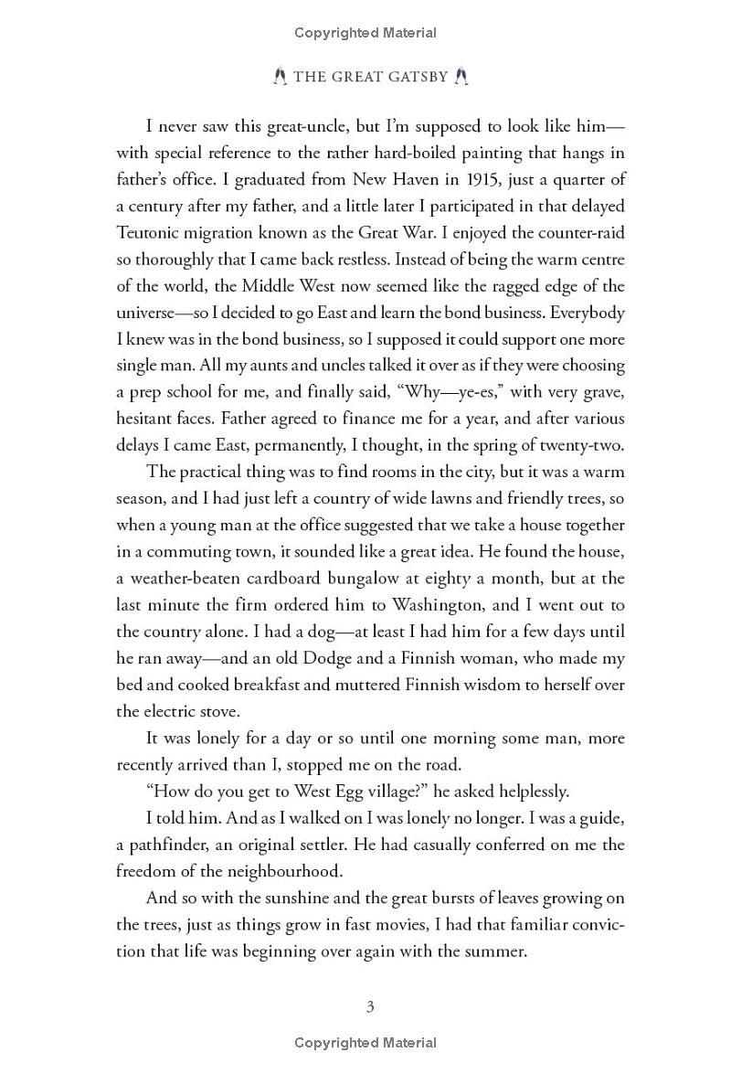 the great gatsby (pretty books - painted editions) - Ảnh 11