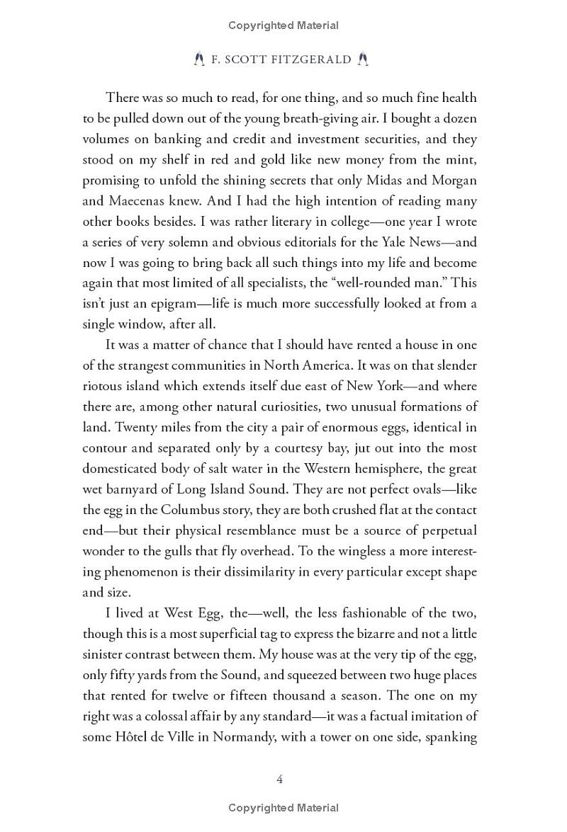 the great gatsby (pretty books - painted editions) - Ảnh 12