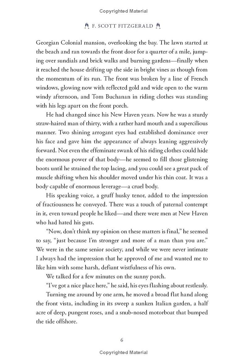 the great gatsby (pretty books - painted editions) - Ảnh 14