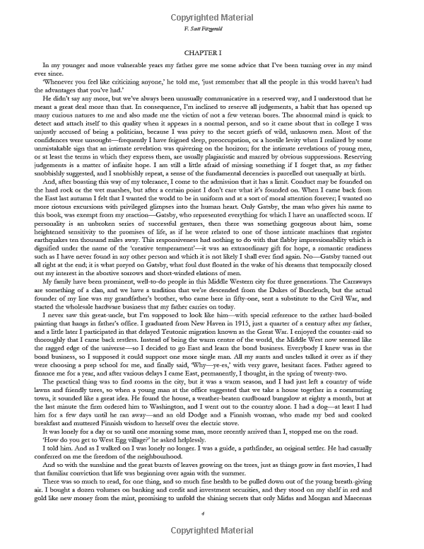 the great gatsby - vintage classic library - Ảnh 5