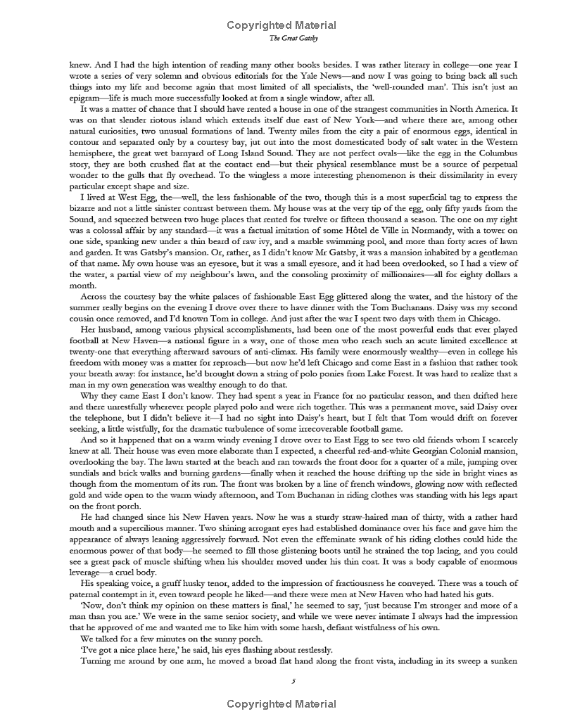 the great gatsby - vintage classic library - Ảnh 6