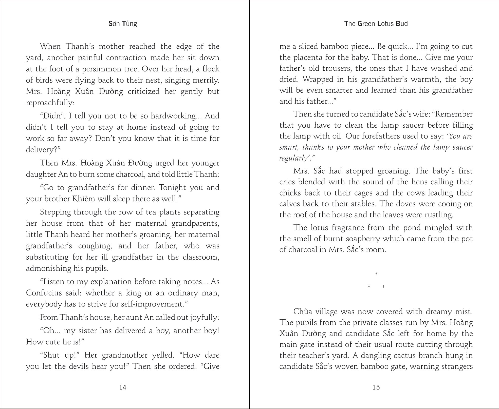 the green lotus bud - búp sen xanh - Ảnh 6