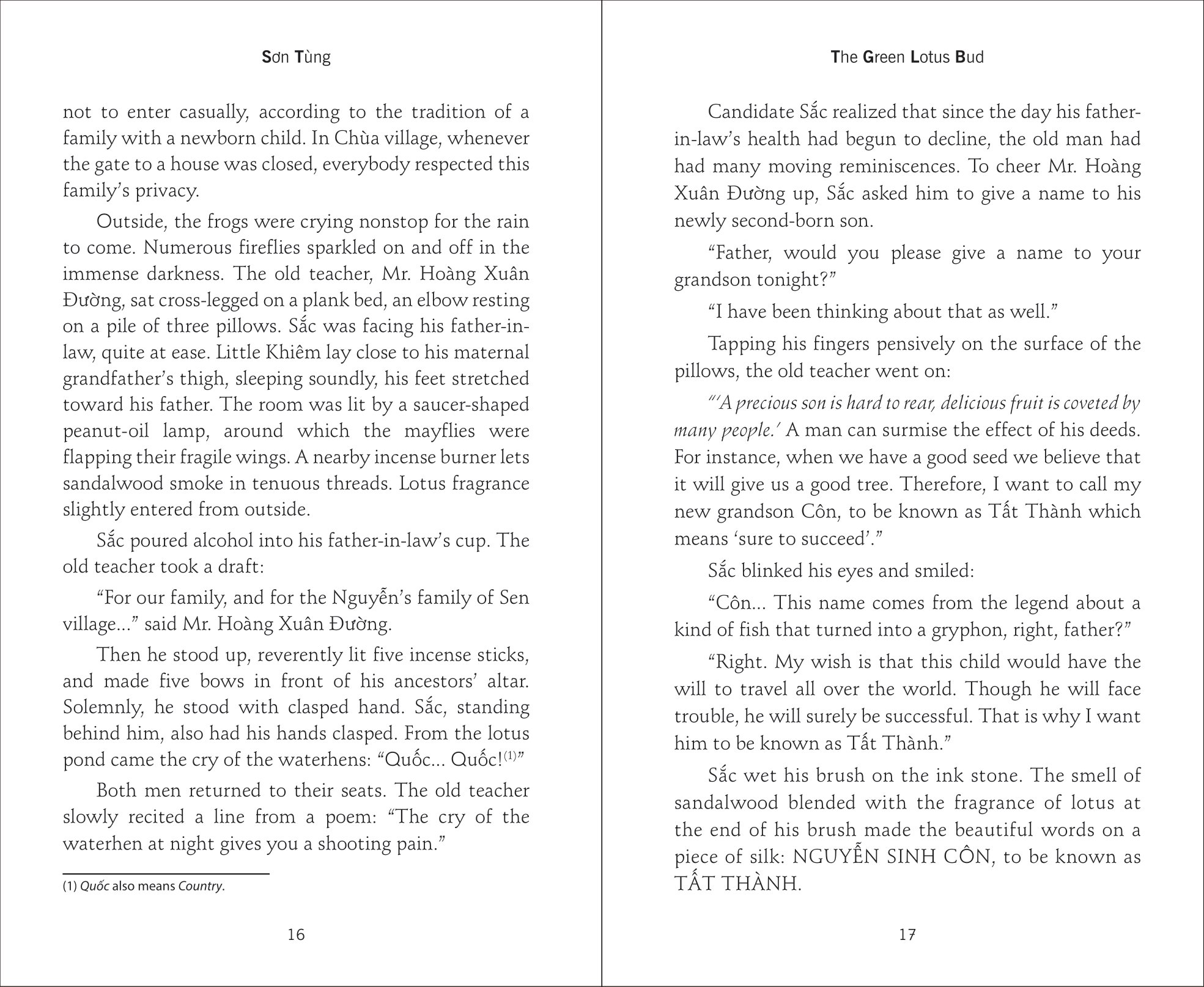 the green lotus bud - búp sen xanh - Ảnh 7