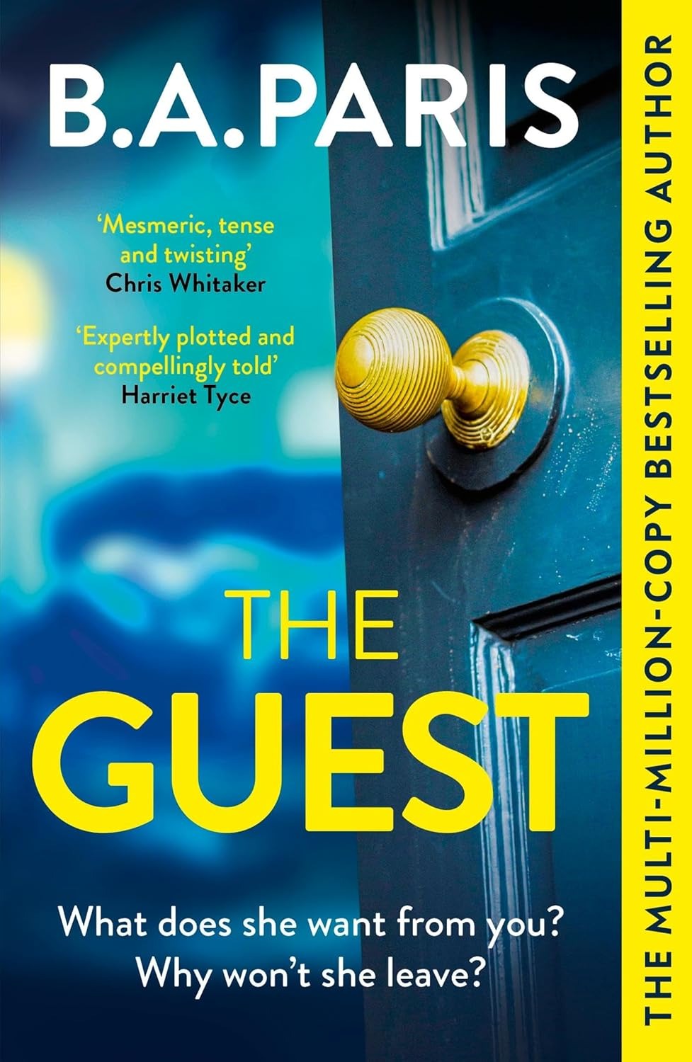 The Guest - Ảnh 2