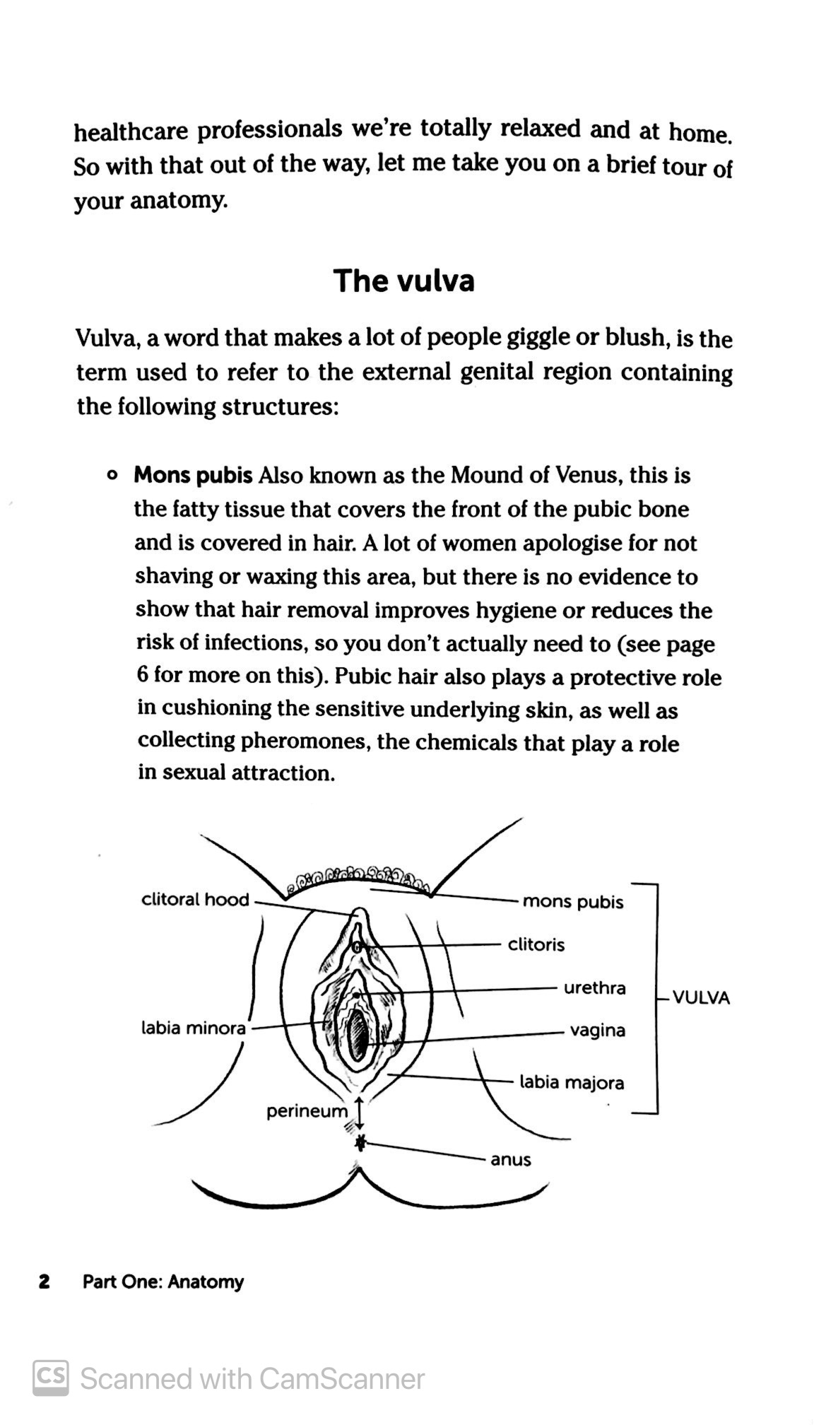 the gynae geek - Ảnh 5