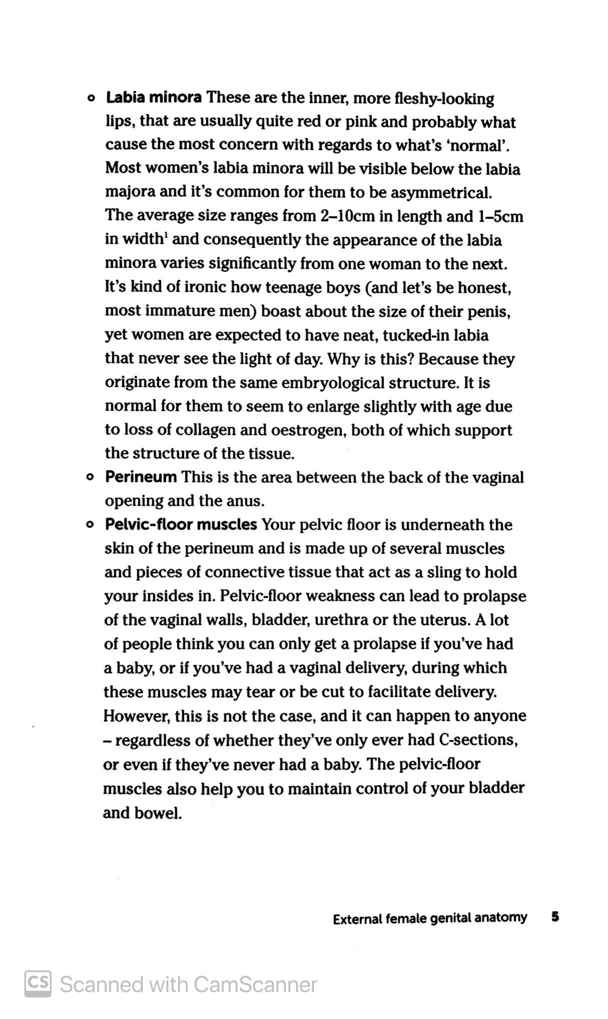 the gynae geek - Ảnh 8