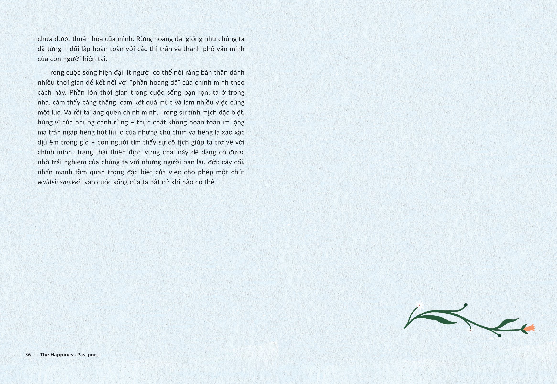 the happiness passport - hành trình tìm kiếm niềm vui qua 50 từ kỳ diệu - Ảnh 12