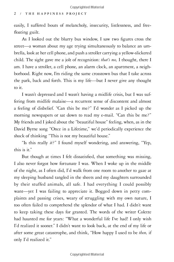 the happiness project tenth anniversary edition - Ảnh 11