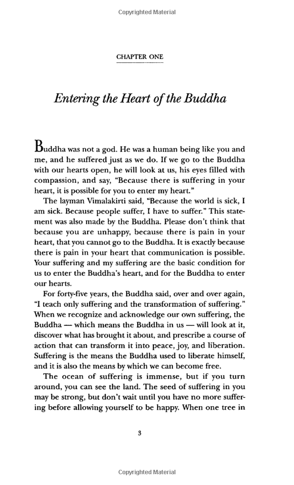 the heart of the buddha's teaching - Ảnh 10