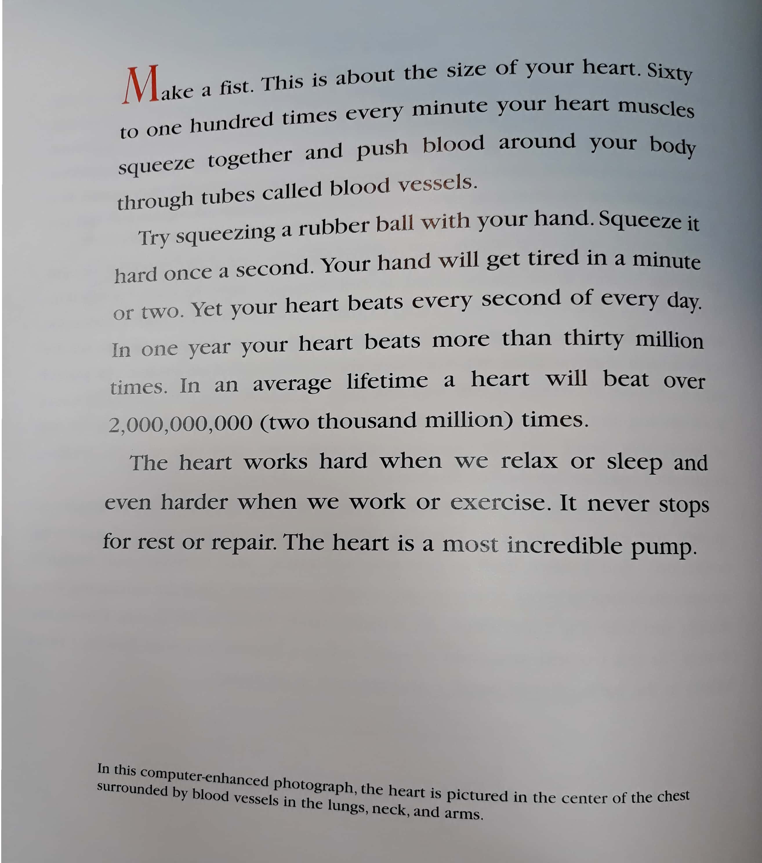 the heart: our circulatory system - Ảnh 4