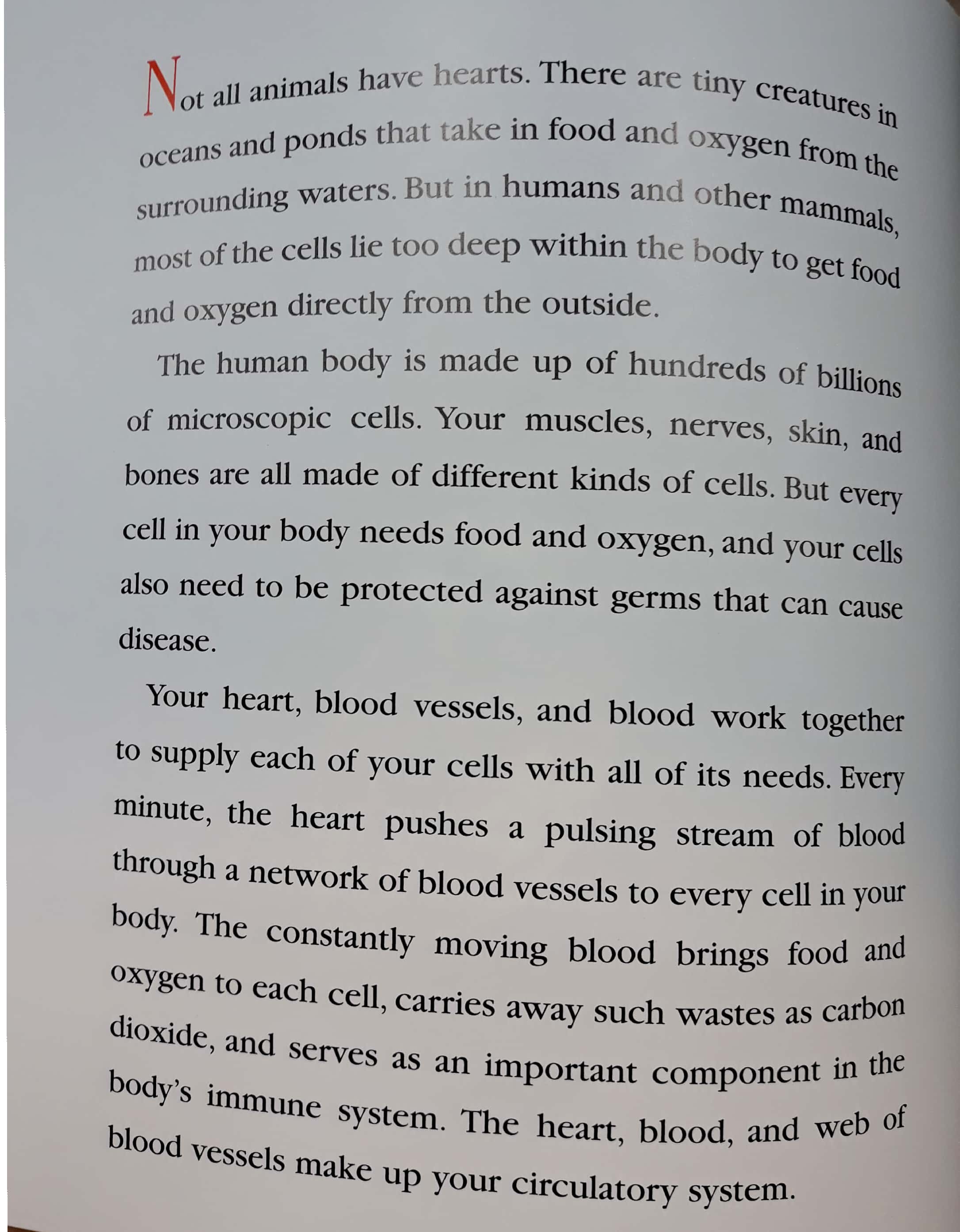 the heart: our circulatory system - Ảnh 6