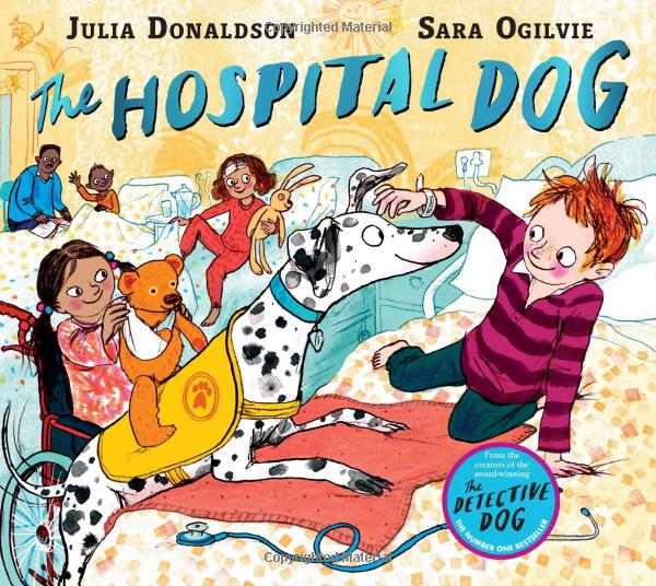the hospital dog - Ảnh 2