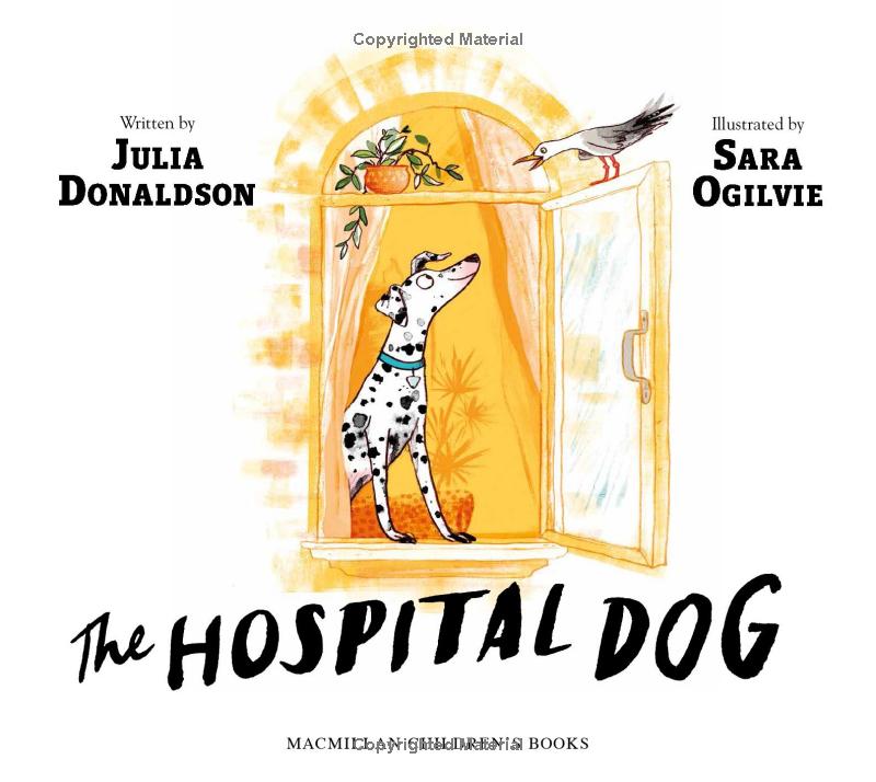 the hospital dog - Ảnh 3