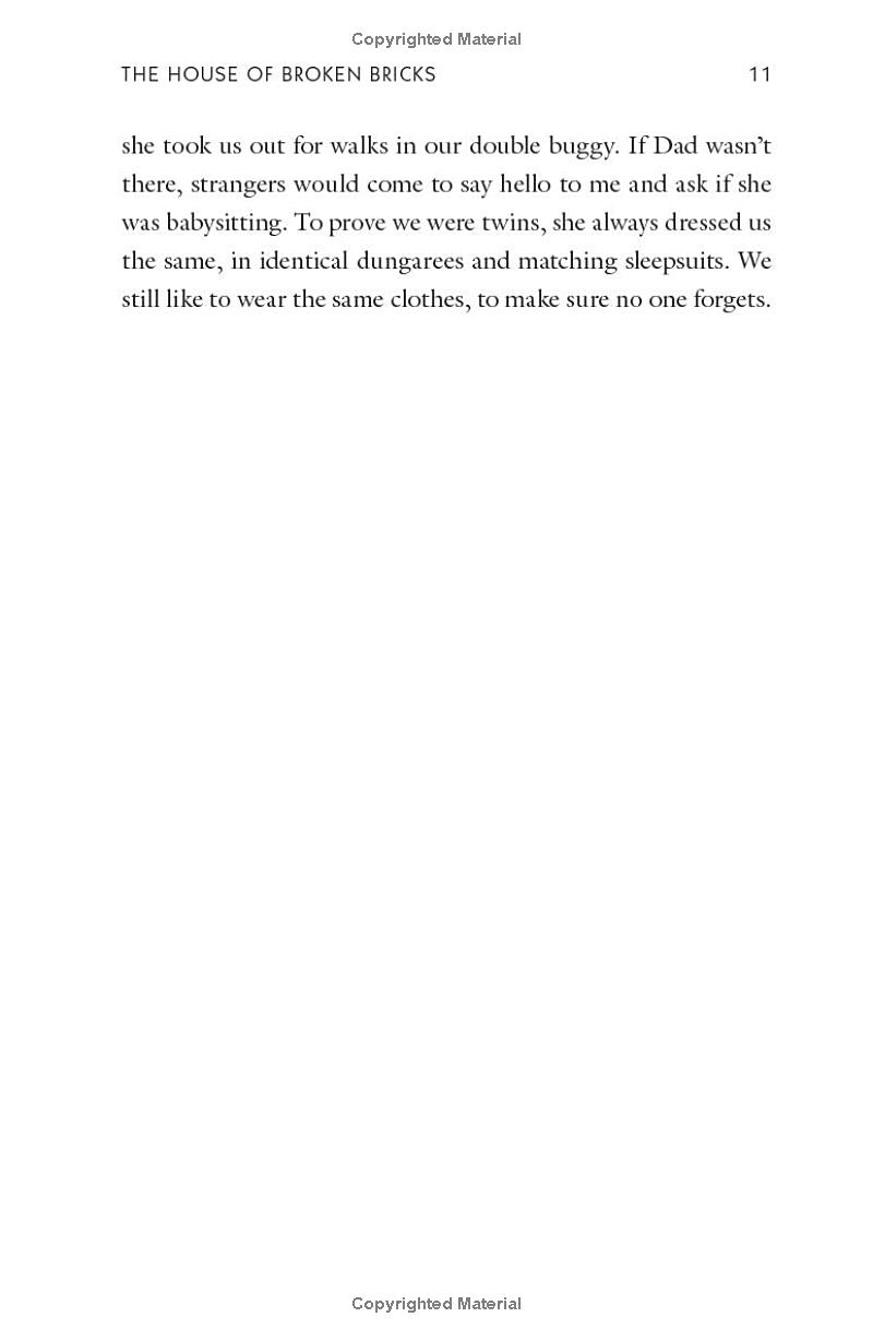 the house of broken bricks - Ảnh 13