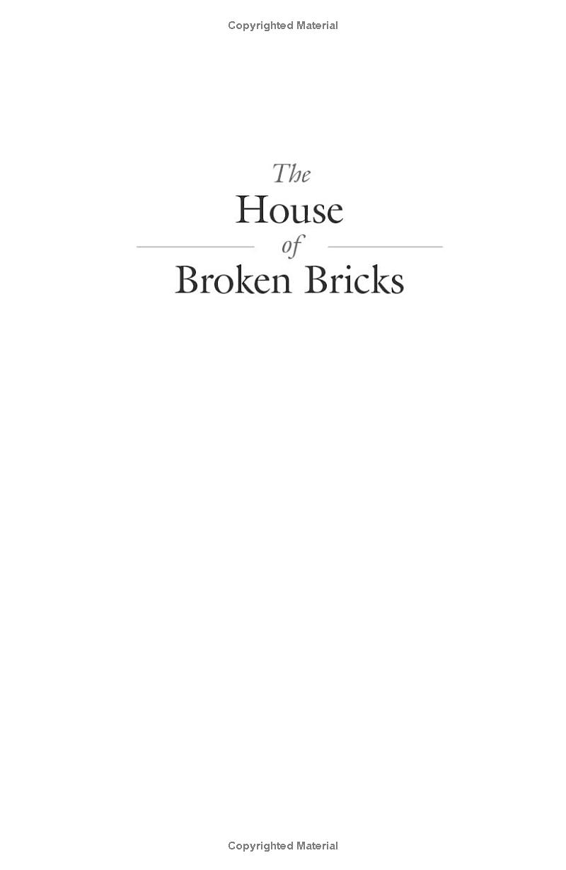 the house of broken bricks - Ảnh 3