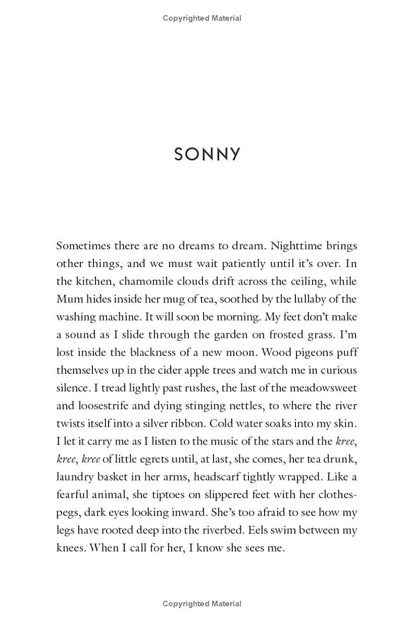 the house of broken bricks - Ảnh 5