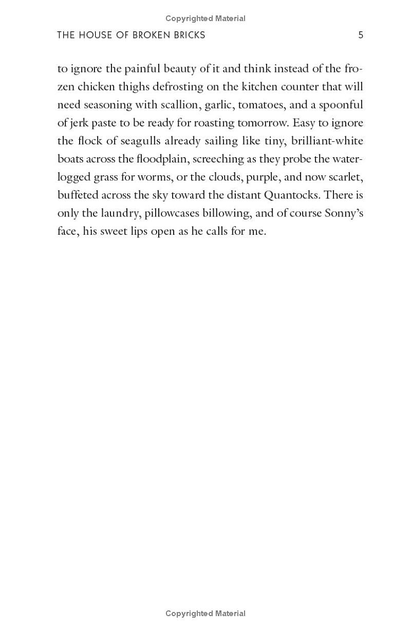 the house of broken bricks - Ảnh 7