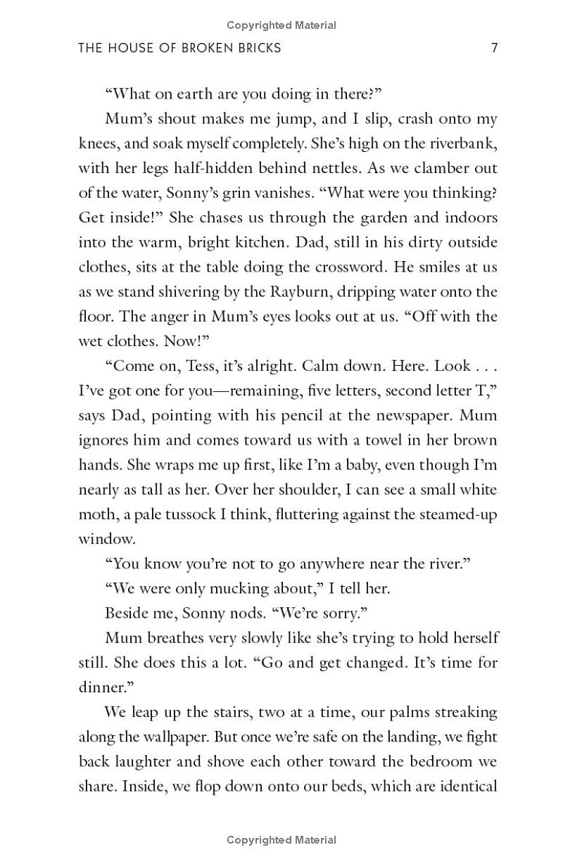 the house of broken bricks - Ảnh 9