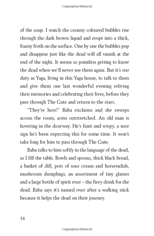 the house with chicken legs - Ảnh 12