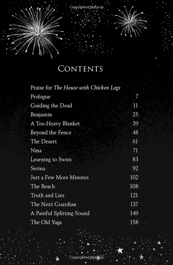 the house with chicken legs - Ảnh 3