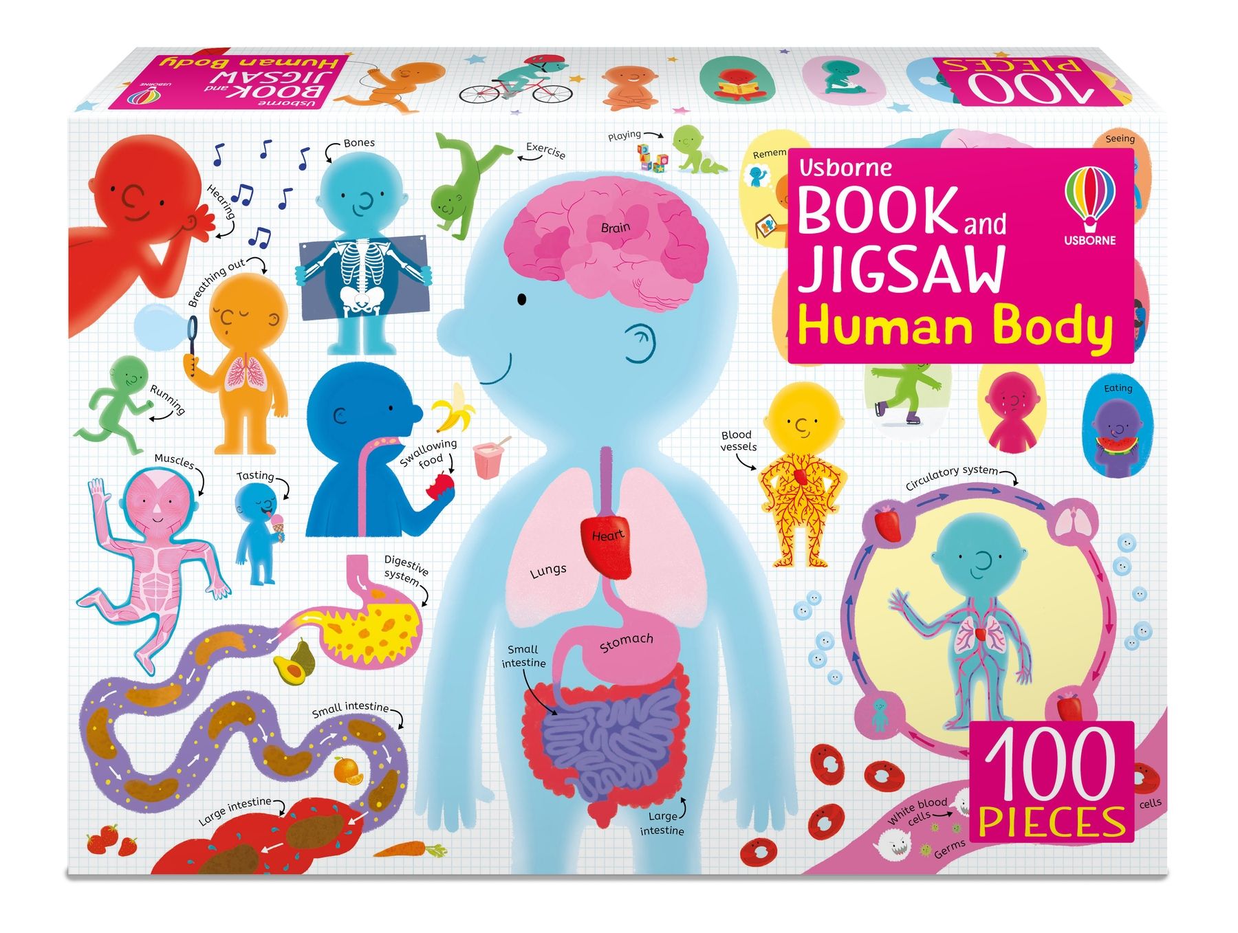 the human body - Ảnh 2