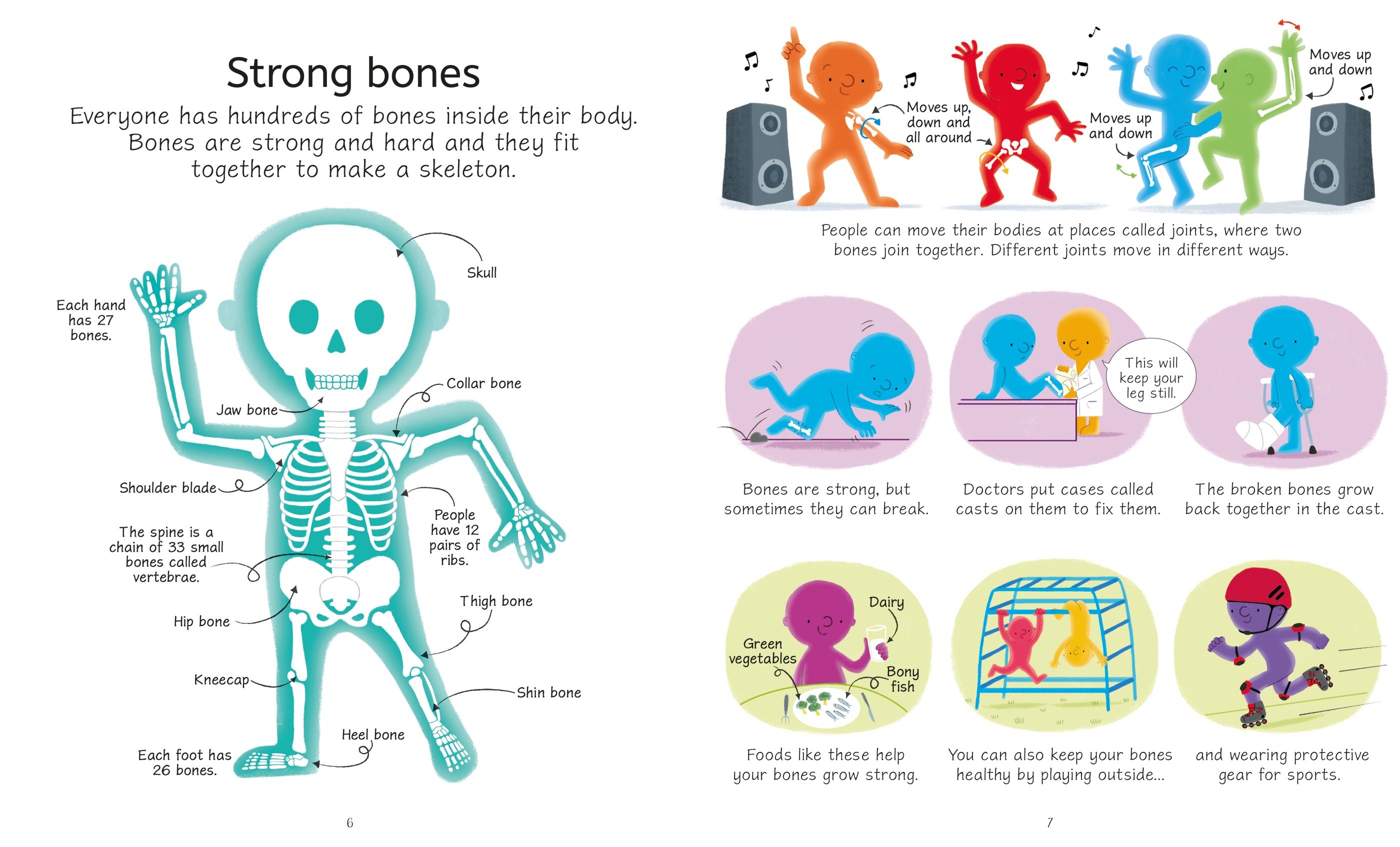 the human body - Ảnh 3