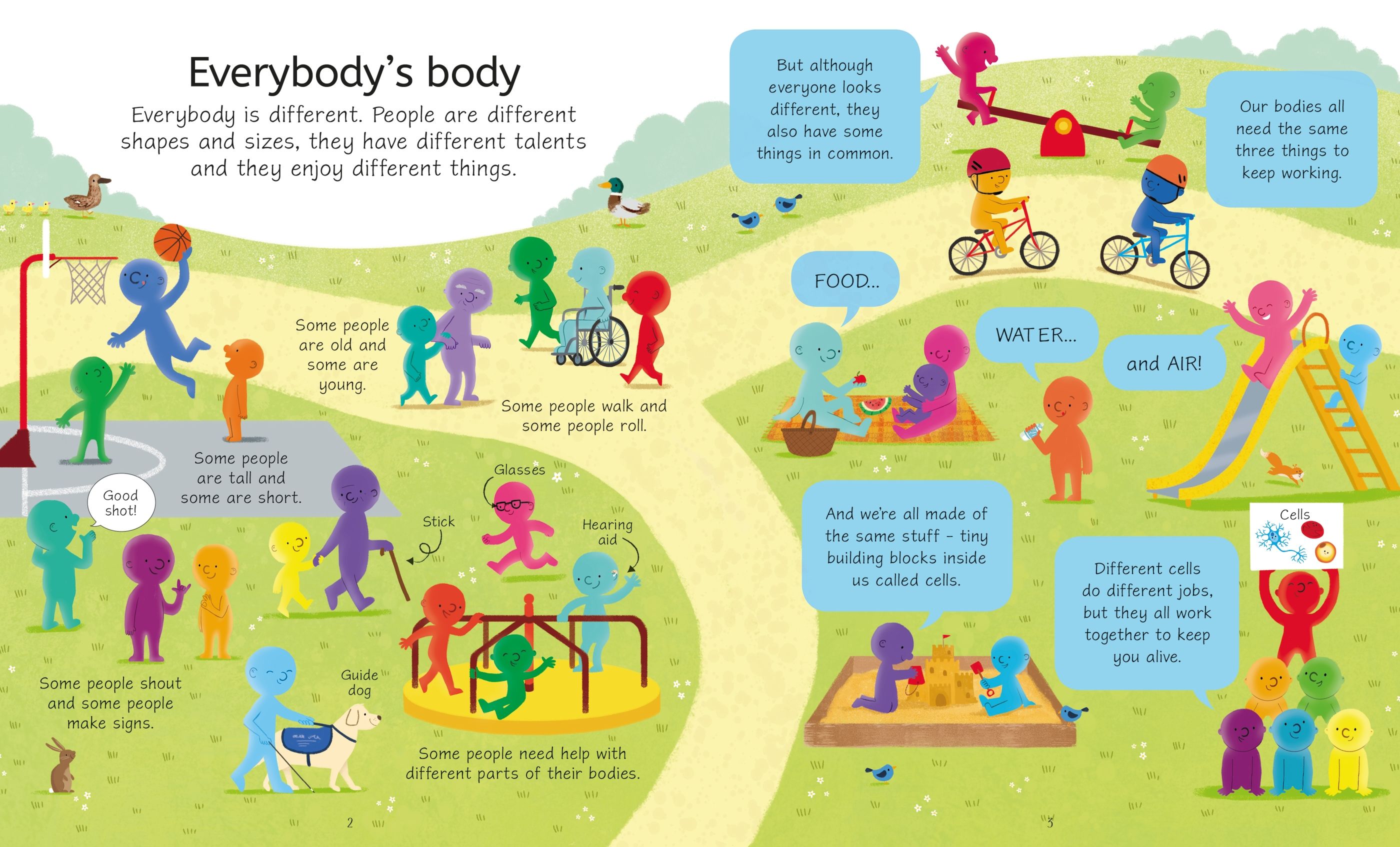 the human body - Ảnh 6