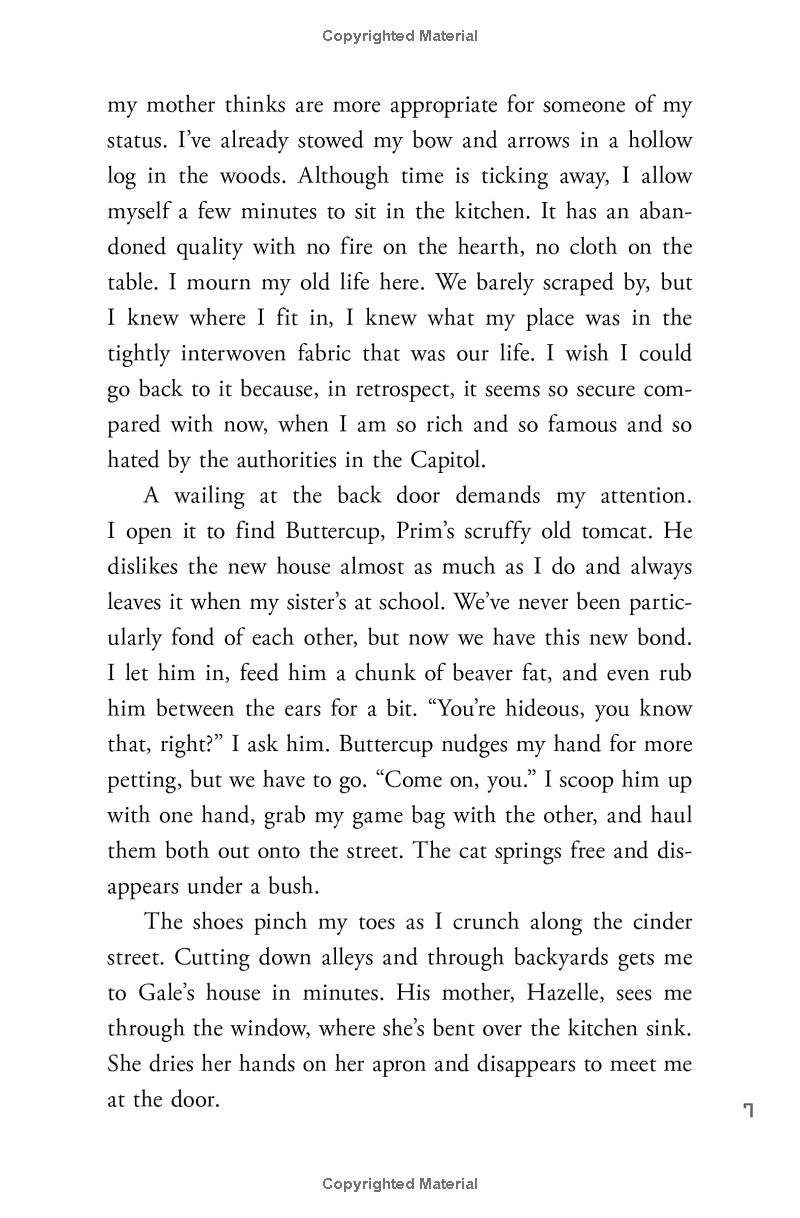 the hunger games - catching fire - Ảnh 7