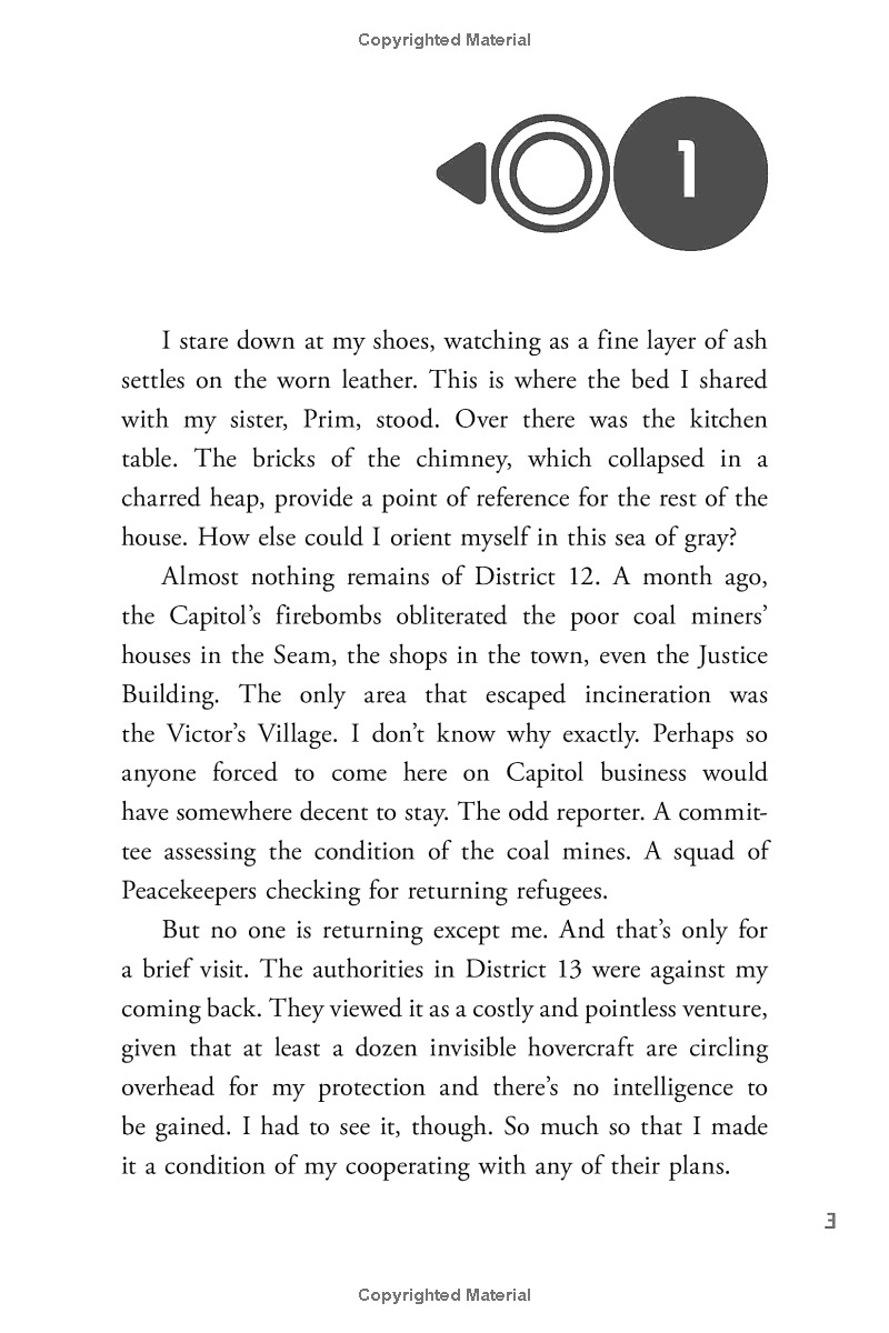 the hunger games - mockingjay - Ảnh 3