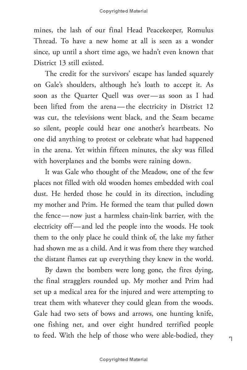 the hunger games - mockingjay - Ảnh 7