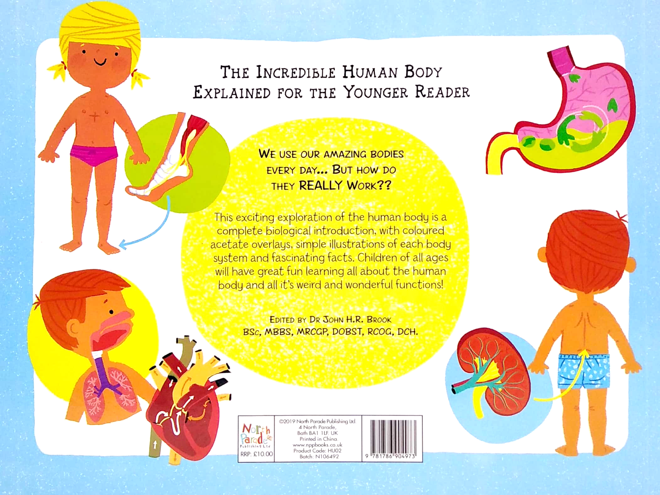 the incredible human body - my first human body book - new version - Ảnh 6