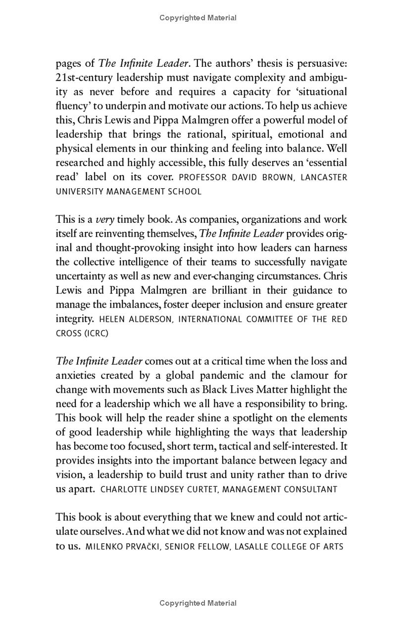 the infinite leader: balancing the demands of modern business leadership (kogan page inspire) - Ảnh 4