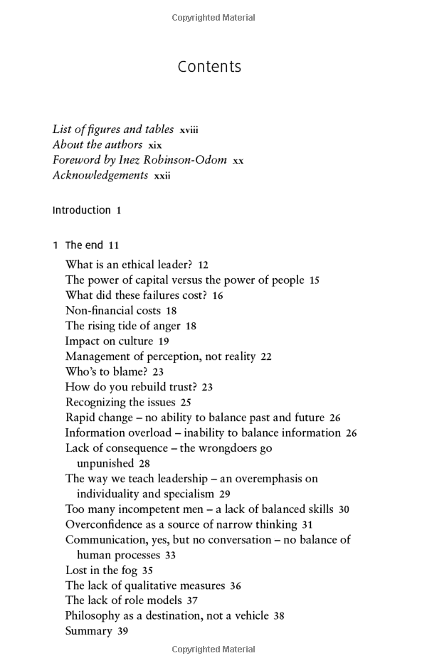 the infinite leader: balancing the demands of modern business leadership (kogan page inspire) - Ảnh 6