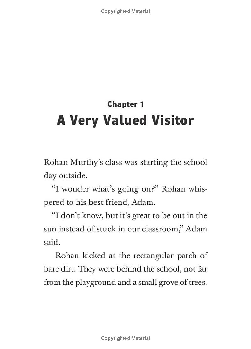the kids in mrs. z's class - book 2 - rohan murthy has a plan - Ảnh 3