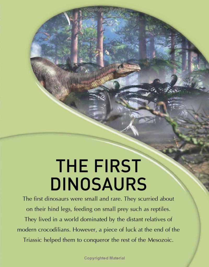 the kingfisher dinosaur encyclopedia - Ảnh 10