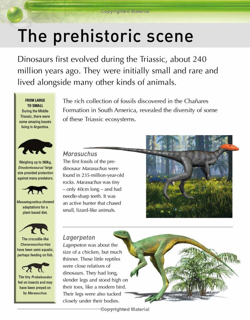the kingfisher dinosaur encyclopedia - Ảnh 11