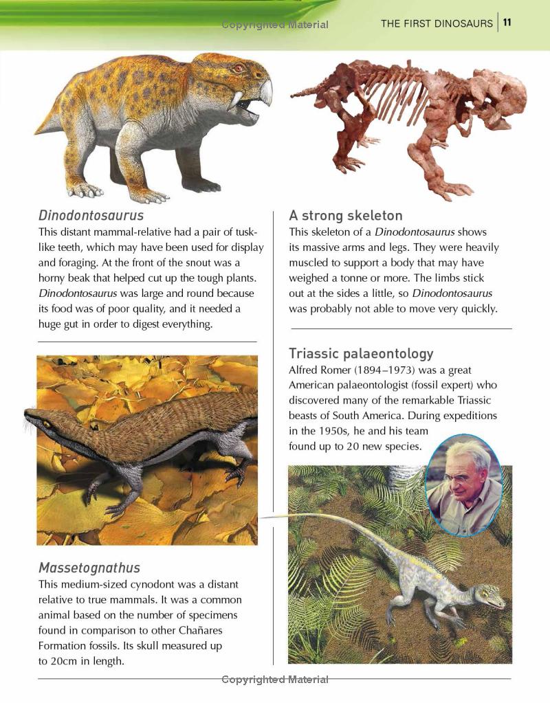 the kingfisher dinosaur encyclopedia - Ảnh 12