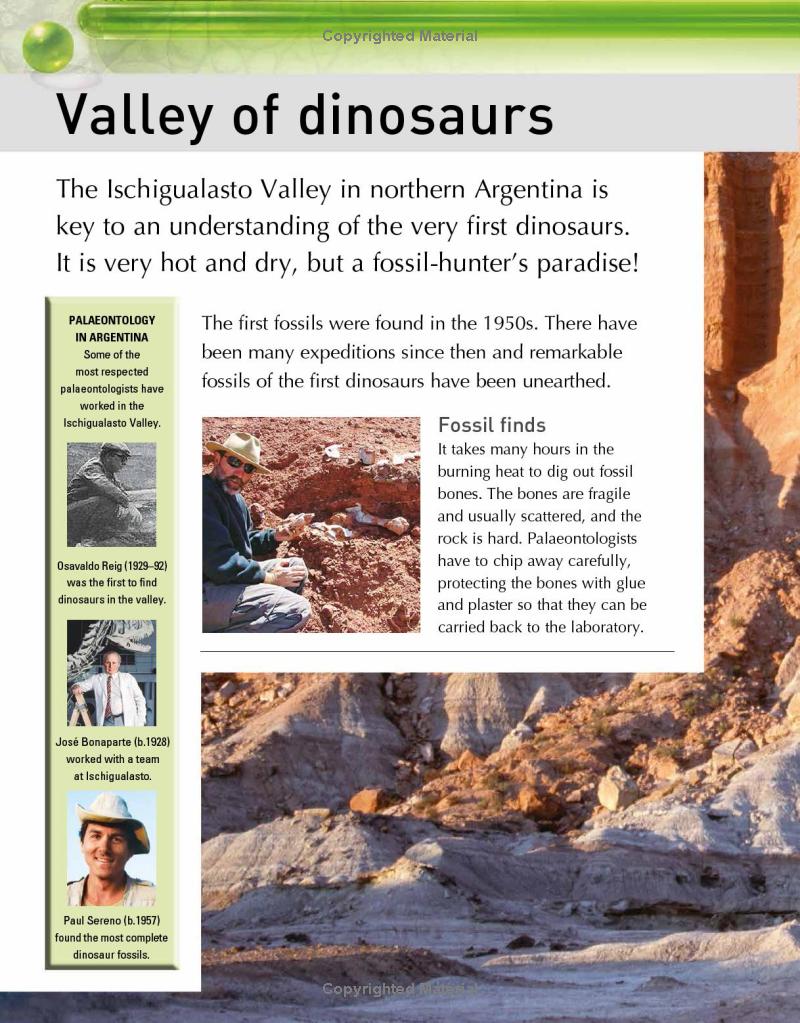 the kingfisher dinosaur encyclopedia - Ảnh 13