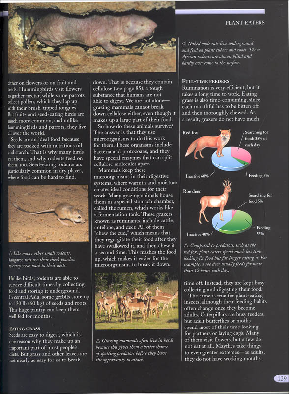 the kingfisher nature encyclopedia - Ảnh 10